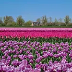 516 Op Recreatiepark De Wielen *