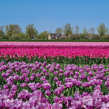 516 Op Recreatiepark De Wielen *