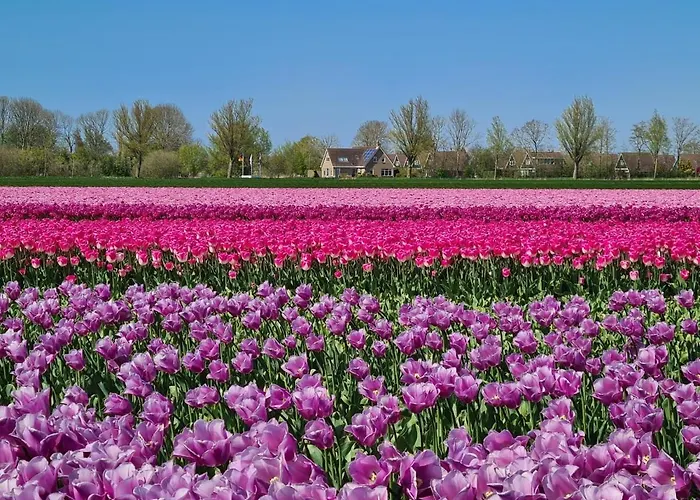 516 Op Recreatiepark De Wielen *